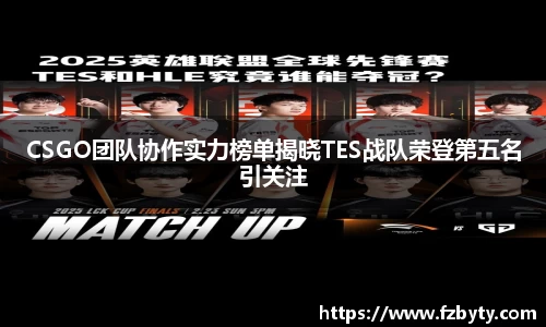 CSGO团队协作实力榜单揭晓TES战队荣登第五名引关注