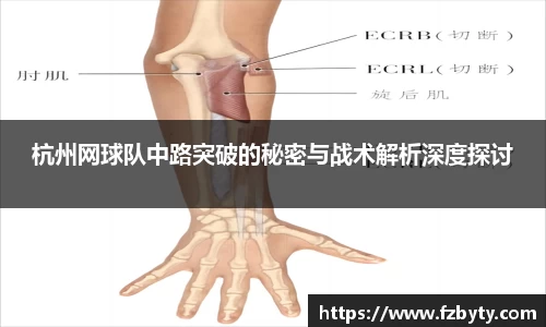 杭州网球队中路突破的秘密与战术解析深度探讨