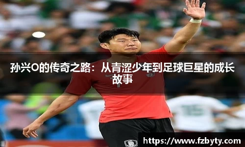 BV伟德官方网站