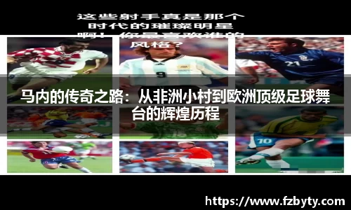 伟德bv国际体育