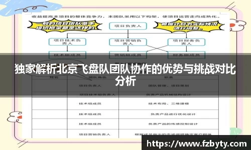 独家解析北京飞盘队团队协作的优势与挑战对比分析